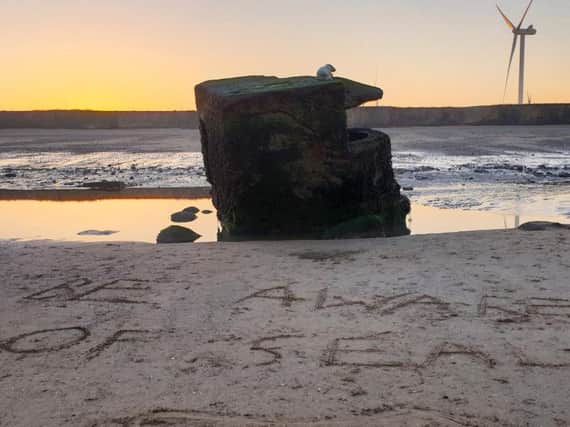 The seal was stranded on top of a World War Two pillbox at Fraisthorpe