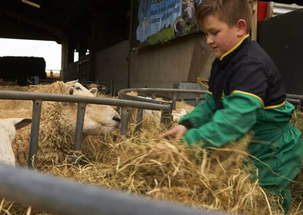 Humble Bee Farm is set to host its first lambing an calving open day.