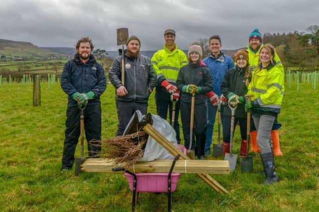 Volunteers from Sirius planting trees.