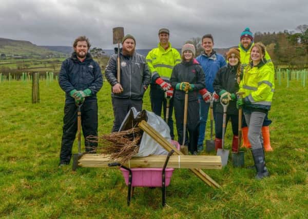 Volunteers from Sirius planting trees.