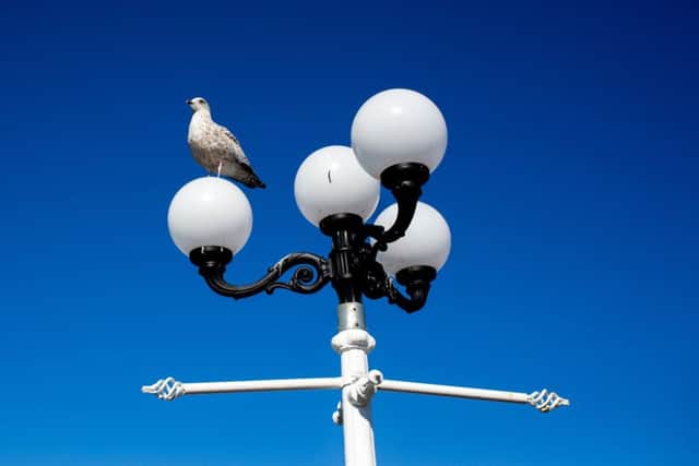 The Royal Society for the Prevention of Accidents has urged councils to be cautious about switching off street lights.