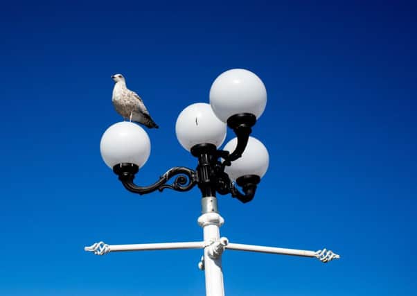 The Royal Society for the Prevention of Accidents has urged councils to be cautious about switching off street lights.