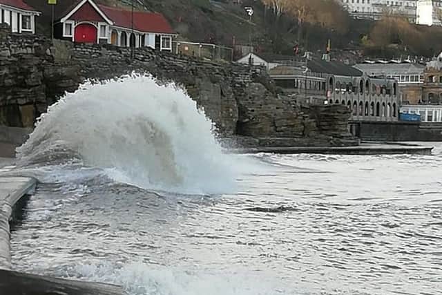 Wave resembling a dolphin - picture by Dawn Humphrey.