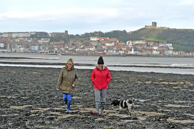 Viv Hemingway and Alison Murrell walk Jack through the seaweed on the South Bay in Scarborough.
