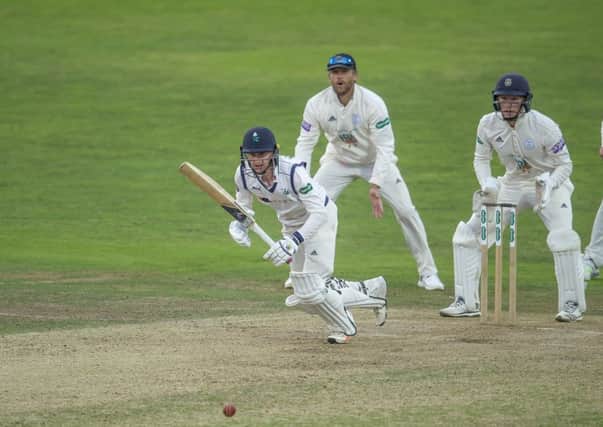 BIG YEAR AHEAD: Yorkshire's Harry Brook. Picture by Allan McKenzie/SWpix.com
