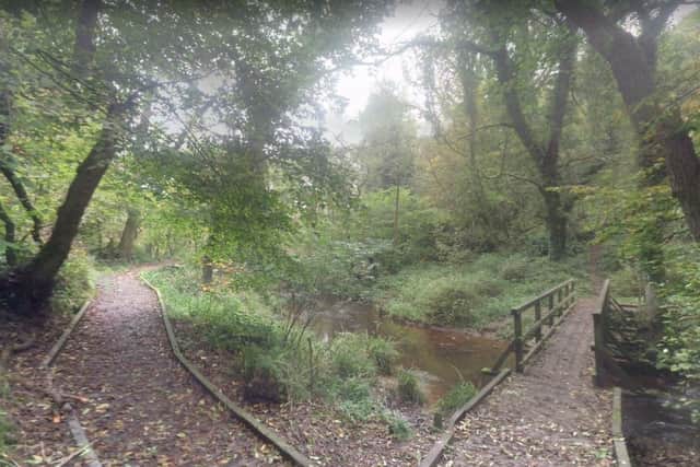 There's plenty to explore in the woods at Forge Valley. The walkway makes this option accessible to all ages.