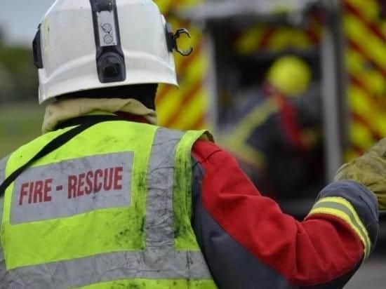 A dog has been rescued from quicksand.