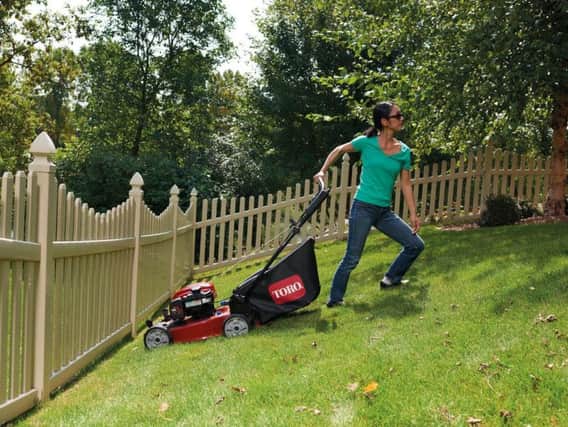 Time to mow the lawn