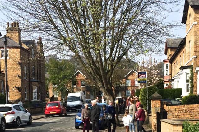 Protesters campaign against the felling of trees on Westbourne Park.