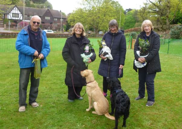 Some of the winners at the All Breeds Dog Training Club show.