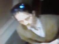 Police are requesting the publics assistance to help identify this male who can help with the investigation