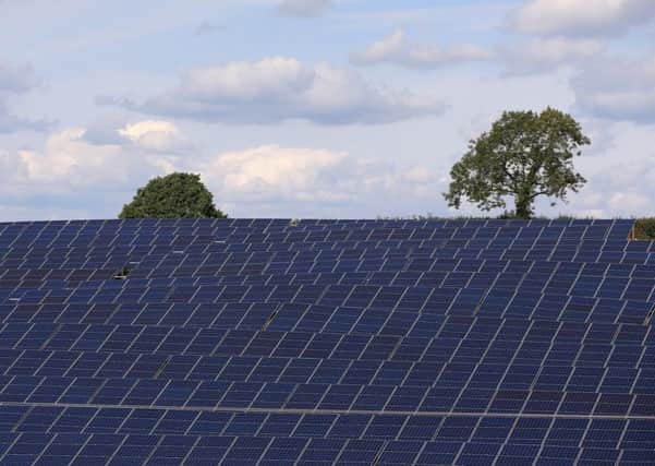 A general view of a lone tree standing above solar panels at the Low Bentham Solar Park, North Yorkshire.