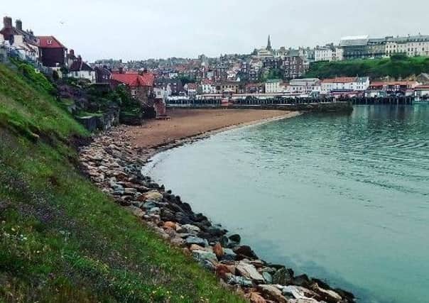Whitby- picture by Duncan Atkins