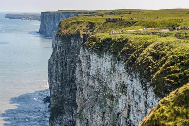 Bempton Cliffs