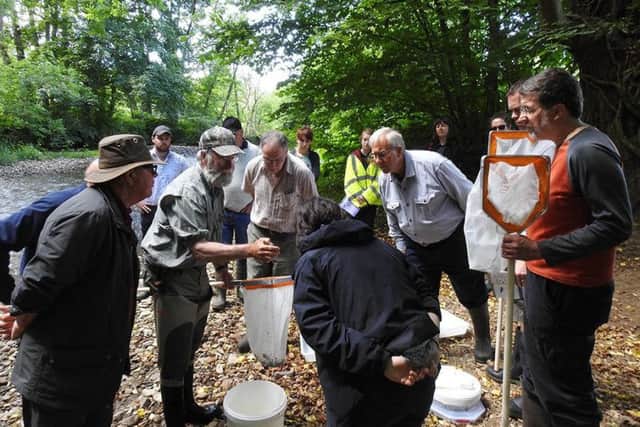 North York Moors National Park Authority volunteers take part in a river survey.