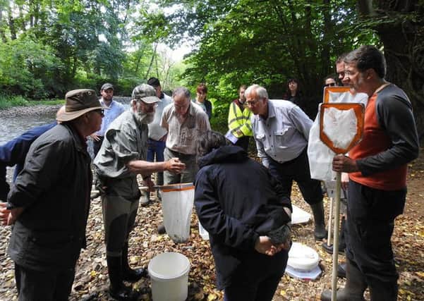 North York Moors National Park Authority volunteers take part in a river survey.