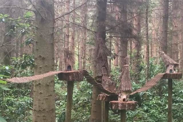 Fairy houses in the trees at Northwood Trail - Pic: Lamorna Roberts