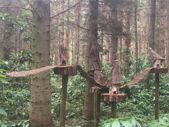 Fairy houses in the trees at Northwood Trail - Pic: Lamorna Roberts