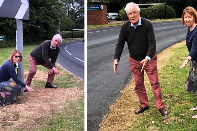 Adrian Koster and Cllr Linda Johnson examining the verges on Woodhall Way, Beverley. Image: East Riding Liberal Democrat Councillors