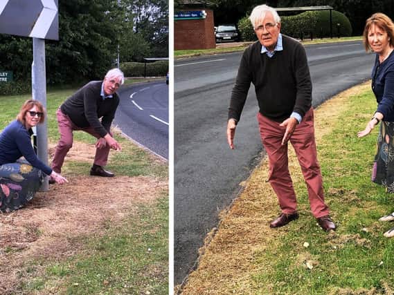 Adrian Koster and Cllr Linda Johnson examining the verges on Woodhall Way, Beverley. Image: East Riding Liberal Democrat Councillors