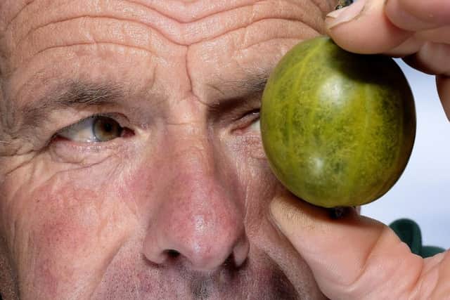 The Egton Gooseberry contest and show ,with new world record holder Graeme Watson . pic Richard Ponter