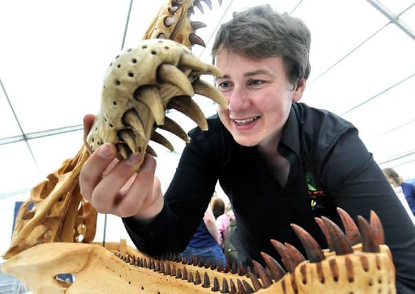 The fossil festival is expected to be bigger and better with local and national museums providing their expertise.