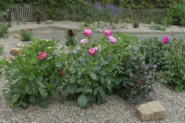 Fabulous Flowers in Filey Library Garden