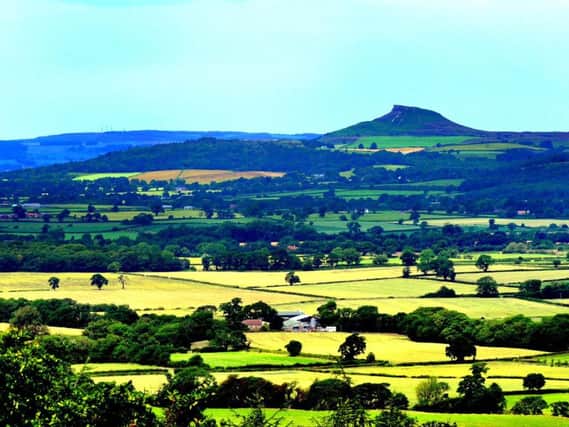View from Claybank near Chop Gate looking across the countryside to Roseberry Topping