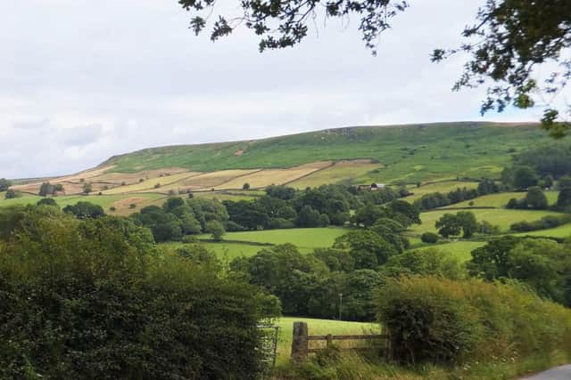 Danby Rigg.
