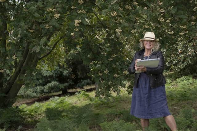 Lesley Seeger began her residency at the Yorkshire Arboretum in the autumn of 2018.