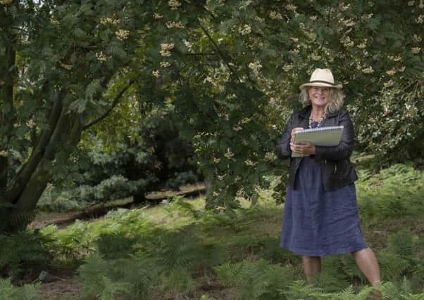 Lesley Seeger began her residency at the Yorkshire Arboretum in the autumn of 2018.