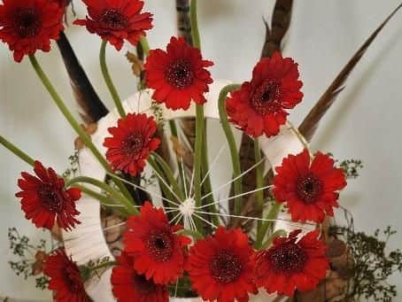 Lovely flowers on display.