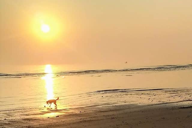 Shirley Parsons sent in this fantastic sunrise image following her walk at Hunmanby Gap.