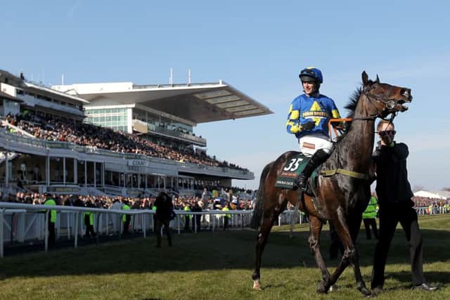 Auroras Encore won last year's race.