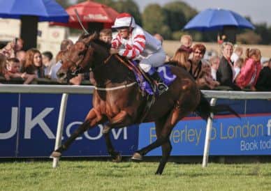 Vicky Pears on her way to victory in the Betfair Malton Stables Sprint staff race Pictures: Louise Pollard