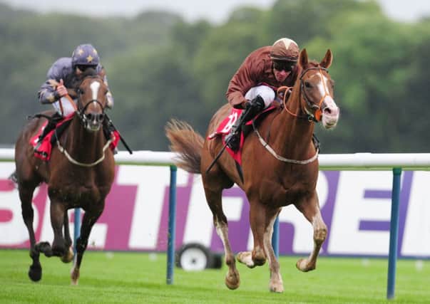 Top Notch Tonto ridden by Dale Swift (right) wins the betfred.com Superior Mile during the Betfred Sprint Cup Festival at Haydock Park Racecourse, Newton-le-Willows. PRESS ASSOCIATION Photo. Picture date: Saturday September 7, 2013. See PA story RACING Haydock. Photo credit should read: Anna Gowthorpe/PA Wire.