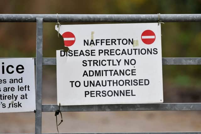 Signage on a farm in Nafferton, East Yorkshire, where measures to prevent the spread of bird flu are under way after the first serious case in the UK for six years.
