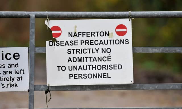 Signage on a farm in Nafferton, East Yorkshire, where measures to prevent the spread of bird flu are under way after the first serious case in the UK for six years.
