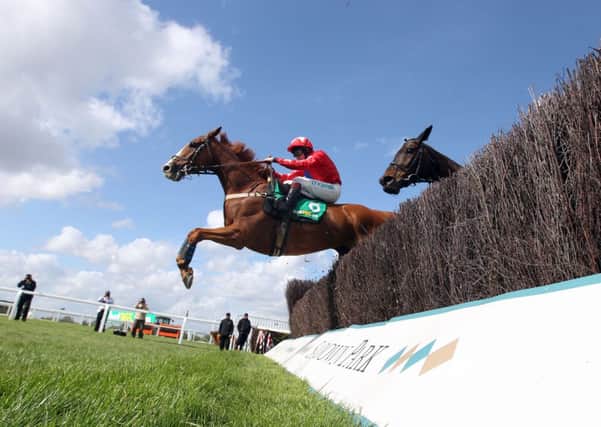 Sire De Grugy (left) ridden by Jamie Moore beats Pepite Rose (yellow colours) ridden by Aidan Coleman to bet365 Clelebration Steeple Chase  during the Bet365 Jump Finale at Sandown Park, Sandown. PRESS ASSOCIATION Photo. Picture date: Saturday April 26, 2014. See PA story RACING Sandown. Photo credit should read: Steve Parsons/PA Wire