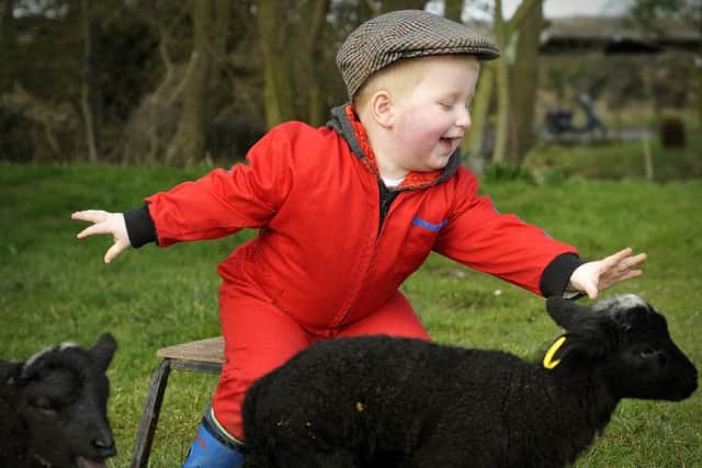 louis Herrington (3) , having fun with some early spring lamb triplets at Riverside Farm, Ayton. Pic Richard Ponter 140332b