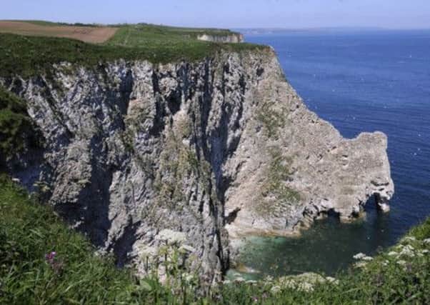 Bempton Cliffs, where the tragedy happened on Monday