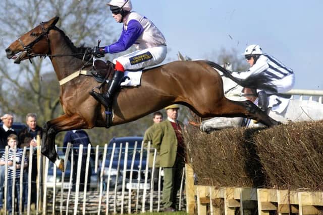 Charm Park Horse Racing.Riding the Hedges.Picture Richard Ponter 141058e