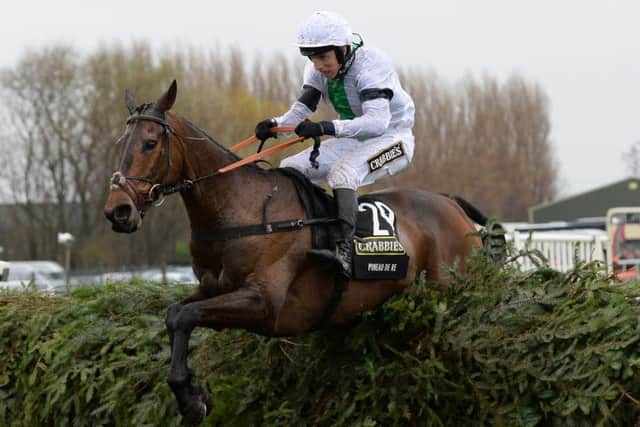 Pineau De Re won last year's Grand National.