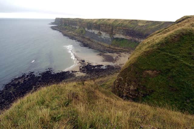 The cliffs at Filey where the girl fell. Picture: Ross Parry Agency