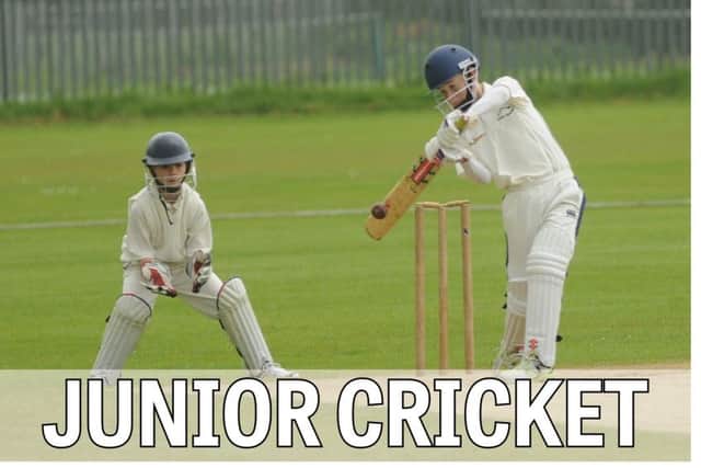 Junior cricket has taken a fresh blow after the resignation of Snainton under-15s