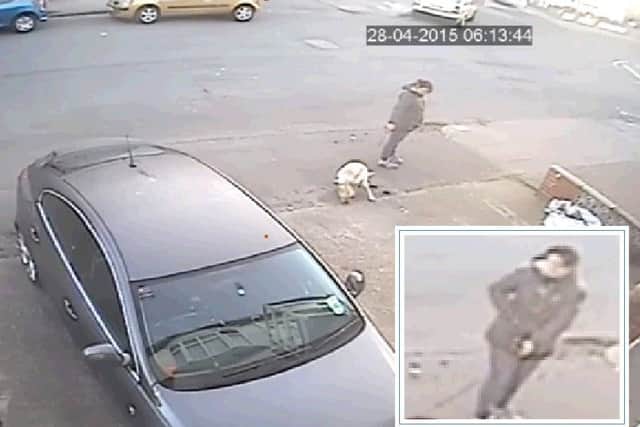 Oliver caught the filthy crime on his home security camera