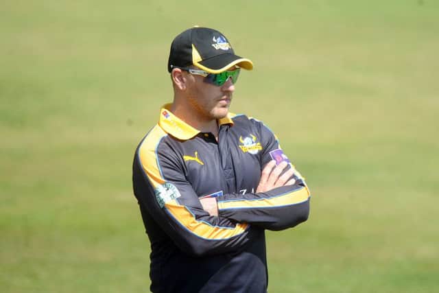 Aaron Finch. Picture: Scott Merrylees.