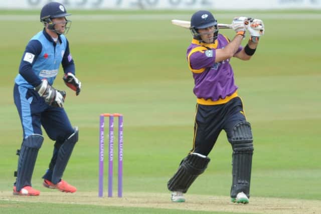 Glenn Maxwell. Picture: Steve Riding.