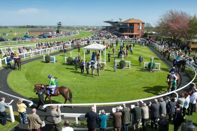 Racing Ahead with Tony McCormick