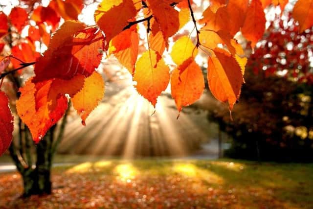 Autumn is set to turn chilly
